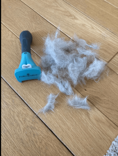 Furminator Chat S Poils long moins de 4,5 kg photo review