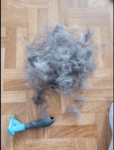 Furminator Chat S Poils long moins de 4,5 kg photo review