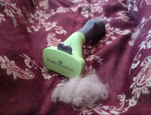 Furminator Chien S Petite Taille Brosse Poils Courts 4 à 9 kg photo review