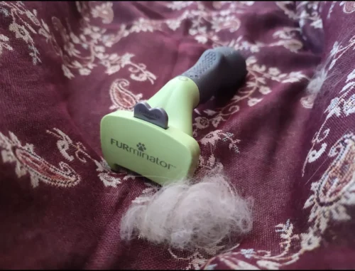 Furminator Cane L Grande Spazzola per Peli Corti photo review