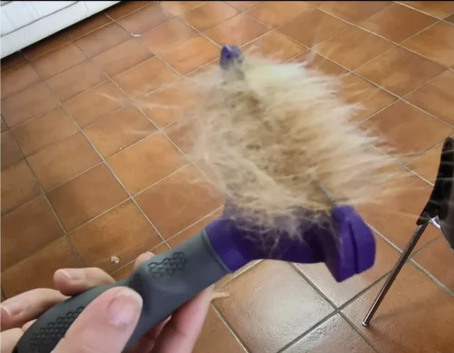 Furminator Gatto S Pelliccia Corta meno di 4,5kg photo review