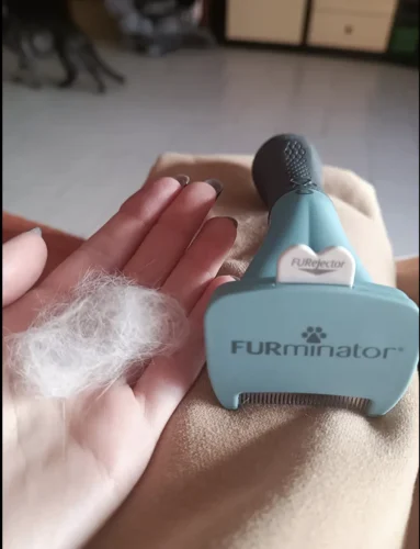 Furminator Gatto L Peli Corti oltre 4,5 kg photo review