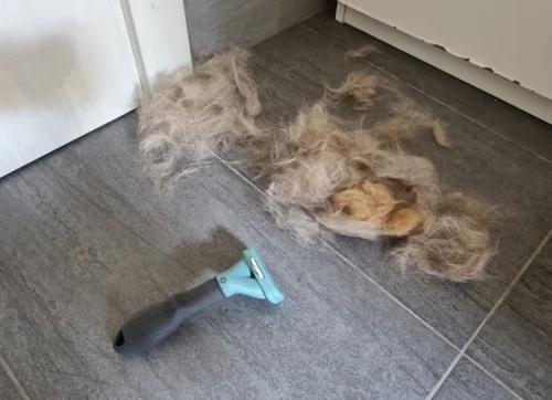 Furminator Gatto S Pelo Lungo meno di 4,5 kg photo review