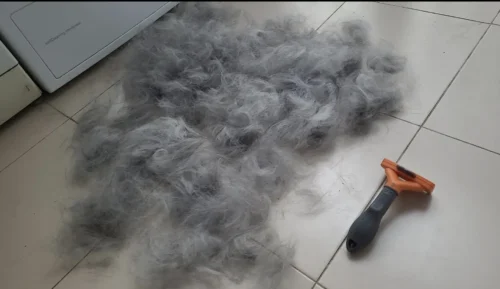 Furminator Perro S Pequeño Cepillo para Pelos Largos 4 a 9 kg photo review