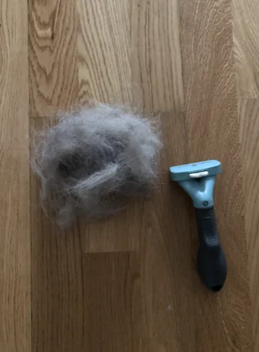 Furminator Gato L Pelo Corto más de 4,5 kg photo review