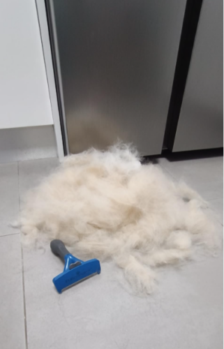 Furminator Perro S Pequeño Tamaño Cepillo Pelo Corto 4 a 9 kg photo review