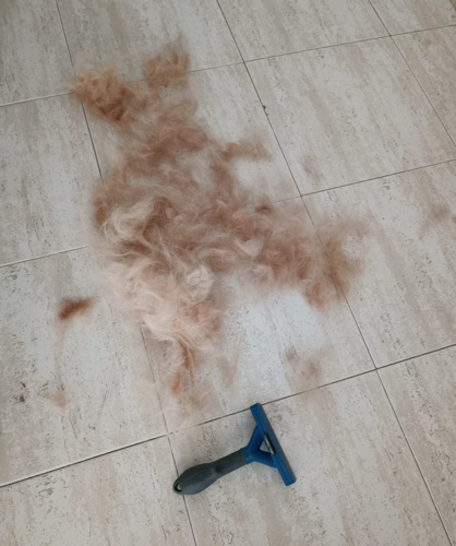 Furminator Perro S Pequeño Tamaño Cepillo Pelo Corto 4 a 9 kg photo review